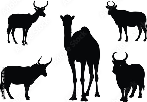 Vector illustration of camel and antelope silhouettes, wild African animals in black, farm livestock drawing design for safari and nature