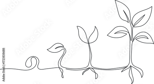 Continuous one line drawing showing the steps of plant growth
