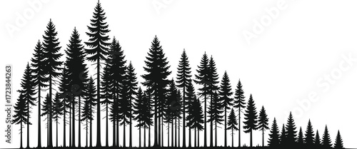 Forest silhouette of conifer trees, pine woodland gradient, nature landscape, evergreen wilderness, minimal black tree art, tranquil outdoor scene