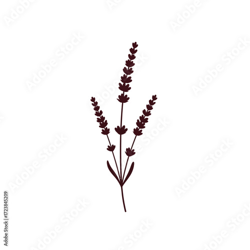 branch of willow
