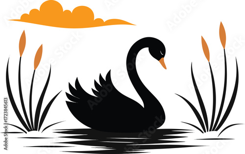 Graceful black swan swims on rippling water near reeds at sunset with birds flying overhead white background
