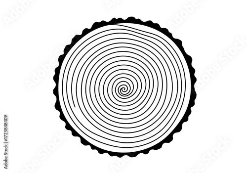 Spiral Tree Trunk Cross Section Growth Rings.