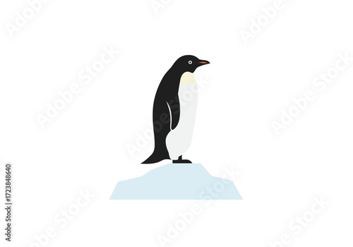 Adélie Penguin on Iceberg in Antarctica.
