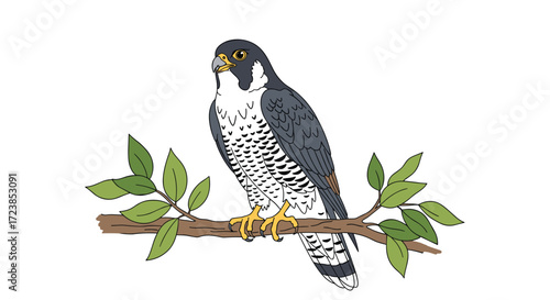 A beautiful peregrine falcon perched on a branch with green leaves.