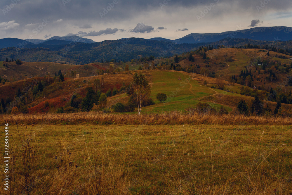 Fototapeta premium Beautiful early autumn in Carpathian mountains, Ukraine