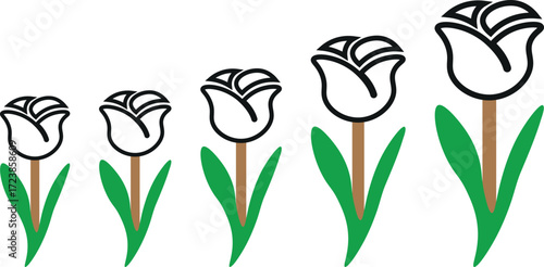 Elegant Rose Flower Tree Line Vector Silhouettes Collection for Botanical Logos, Minimal Nature Illustrations, Eco-Friendly Design, and Creative Branding Projects