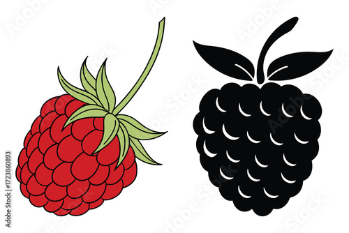 Vibrant red and silhouette raspberry fruit design
