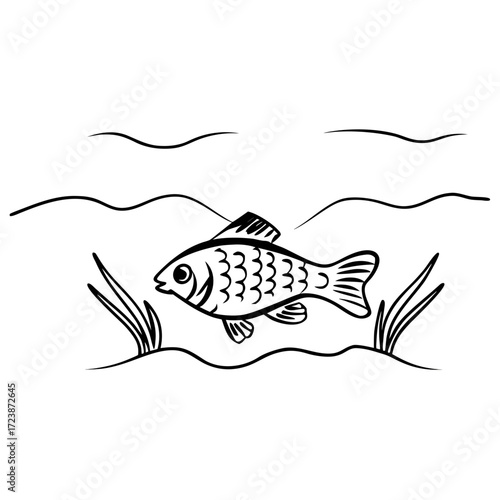 vector illustration of fish