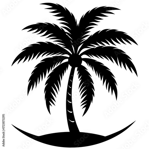 palm tree silhouette