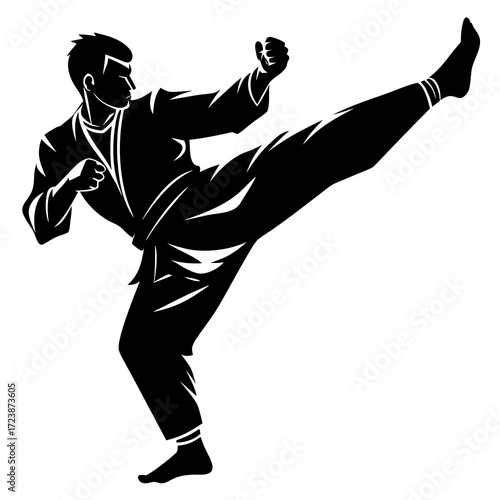 silhouette of a karate man