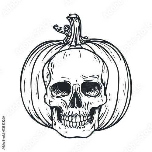 Sketch of a human skull inside a pumpkin.