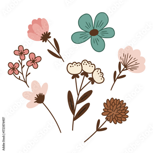 dried flowers for crafts