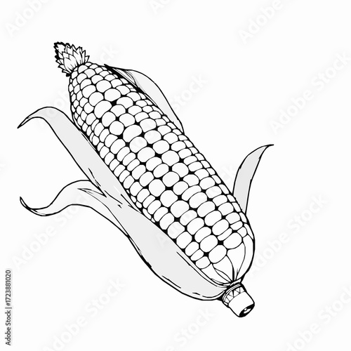 Black and white illustration of an ear of corn with husks