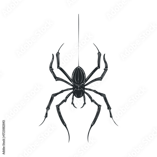 Stylized dark image of a spider hanging from a single thread.