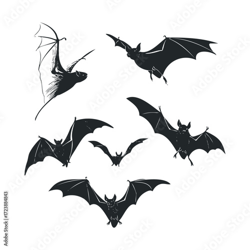 Group of flying bat silhouettes and sketches on a white background.