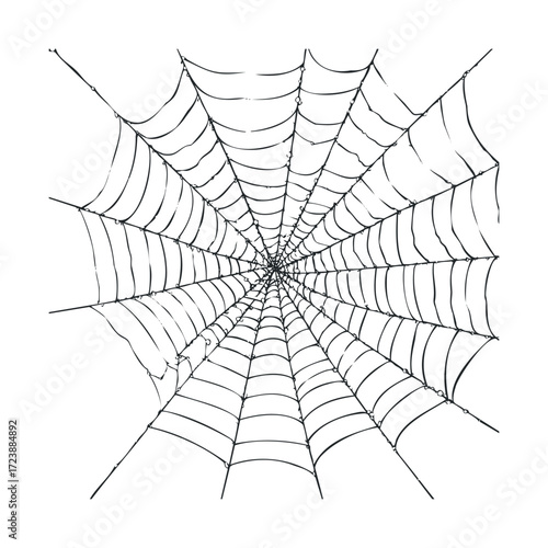 Hand drawn circular spiderweb on a white background.