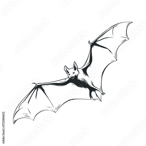 Detailed black and white sketch of a flying Halloween bat.