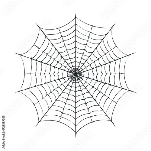 Radial spider web line drawing on white