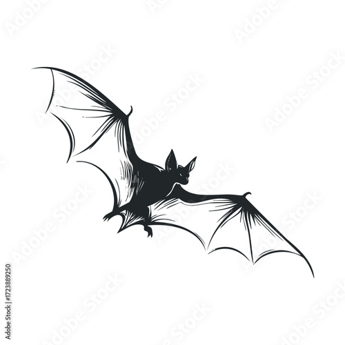  Flying black bat drawing with wide wings