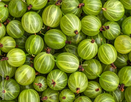 Close-up view of many green gooseberries (1)
