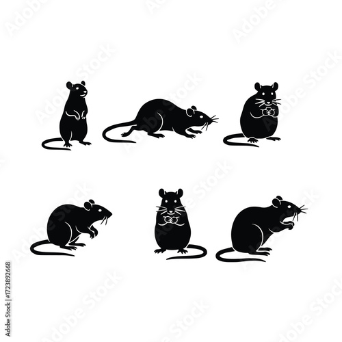Set of black rat silhouettes showing various poses and actions, vector illustration icons isolated on white