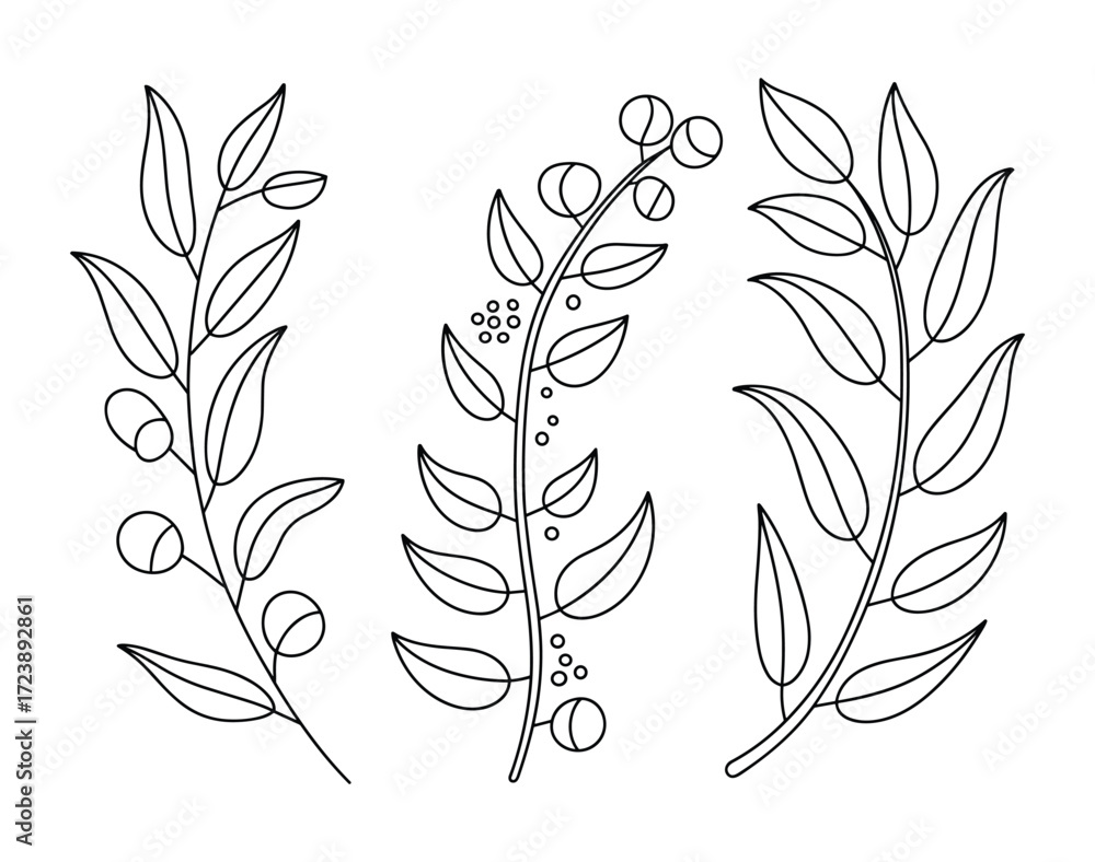 Obraz premium Set of three botanical branches with leaves and berries, a black and white line art illustration