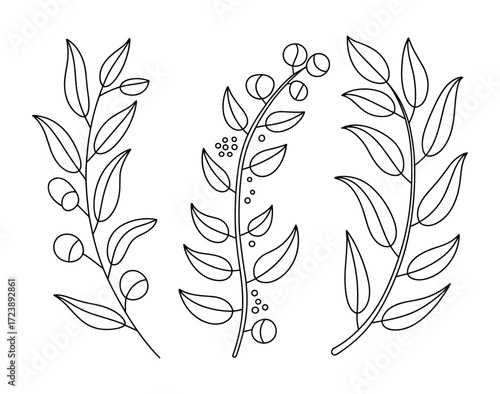 Set of three botanical branches with leaves and berries, a black and white line art illustration