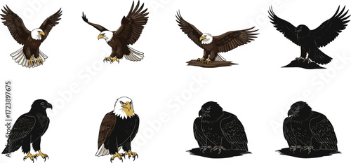 eagle, bird, wildlife, animal, raptor, silhouette, icon, vector, illustration, black, white, perched, flying, standing, posture, anatomy, feathers, predator, study, design, behavior