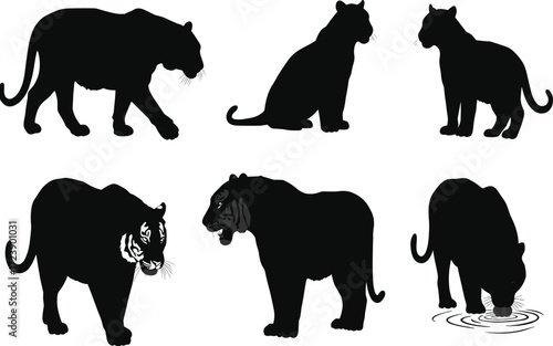 Black panther silhouette illustration set with walking, sitting, roaring, drinking, hunting poses, wild animal vector collection for nature, jungle, wildlife, predator themes