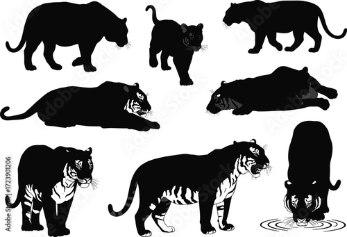 Black tiger silhouettes in action — walking, resting, drinking, roaring — with cub, ideal for wildlife, jungle, predator vector designs, logos, and nature-themed art