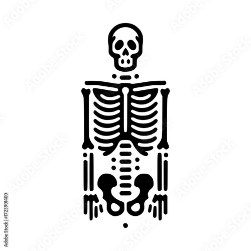 A detailed illustration of a human skeleton in black and white, ideal for educational or medical contexts. The illustration showcases the complete skeletal structure in a straightforward manner.