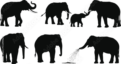 Elephant silhouettes, African wildlife, mother and calf, trunk spraying, elephant walking, wild animal vector illustration