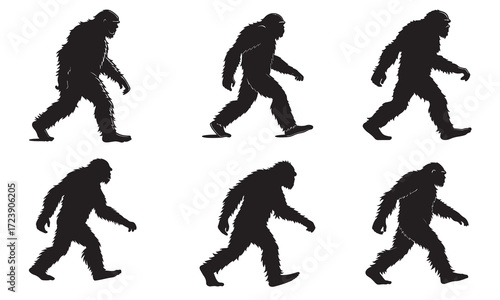 This image showcases a series of black silhouette figures depicting the evolution of a Bigfoot creature, from a more ape-like stance to a more human-like posture.