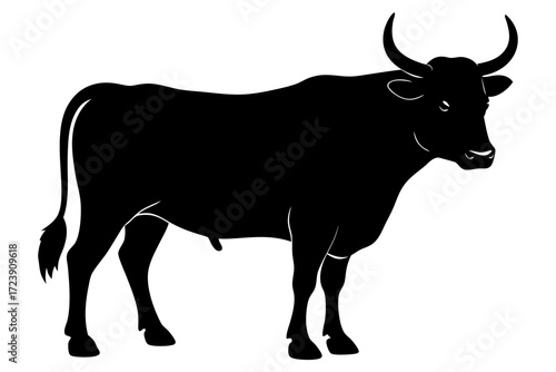 A realistic Bull