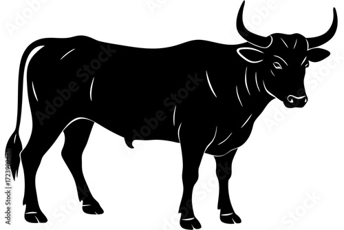 A realistic Bull