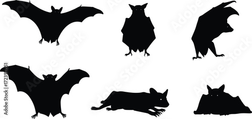 bat, wildlife, animal, mammal, silhouette, icon, vector, illustration, black, white, flying, upright, crouching, resting, paired, posture, anatomy, wings, nocturnal, study, design, behavior