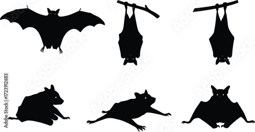 bat, wildlife, animal, mammal, silhouette, icon, vector, illustration, black, white, flying, hanging, crouching, crawling, landing, posture, anatomy, wings, nocturnal, study, design, behavior