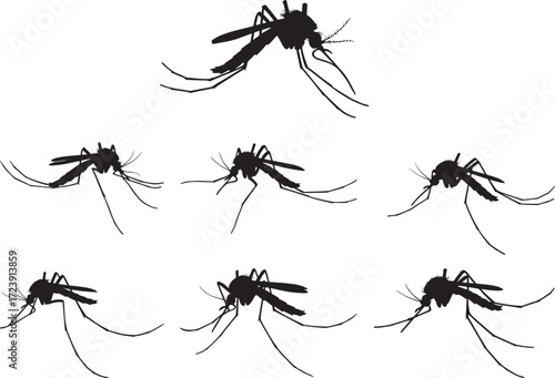 Group of mosquito silhouettes against white background silhouette