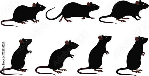 rat, rodent, wildlife, animal, mammal, silhouette, icon, vector, illustration, black, white, standing, walking, upright, posture, anatomy, tail, whiskers, urban, study, design
