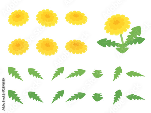 かわいいタンポポの花と葉っぱのイラスト素材セット