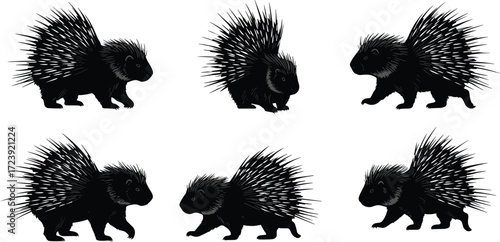 porcupine, wildlife, animal, mammal, silhouette, icon, vector, illustration, black, white, walking, standing, posture, quills, anatomy, forest, nature, study, design, behavior