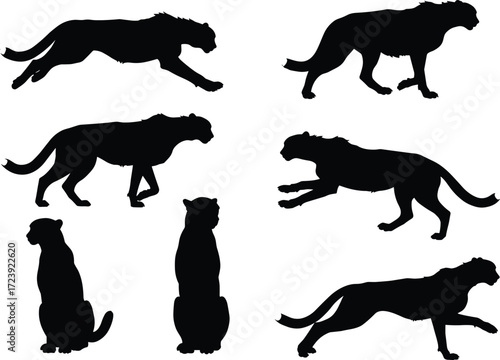 Black silhouette collection of wild cheetah poses, running cheetah, sitting cheetah, walking cheetah, jumping cheetah, fast animal illustration vector design