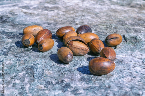 Close-up of dry oak acorns against a stone surface.