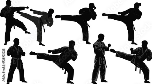 Karate martial arts fighters in action poses, kicking and punching silhouettes, training and combat, vector illustration