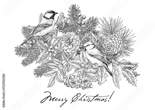 Vintage Vector Christmas botanical illustration with tit birds fir branches holly mistletoe poinsettia. Background for design holiday decor, decoration, greeting card. Black white Hand drawn engraved
