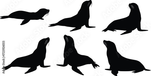 sea lion, marine, wildlife, animal, mammal, silhouette, icon, vector, illustration, black, white, sitting, lying, motion, posture, anatomy, aquatic, nature, study, design, behavior