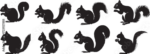 Vector art of collection of squirrel silhouettes in various poses