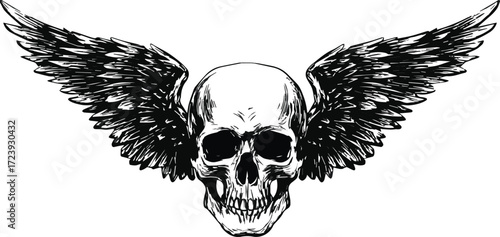 Vector art of skull with wings, a symbol of freedom and mortality