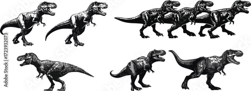 Vector art of tyrannosaurus rex dinosaur in different poses