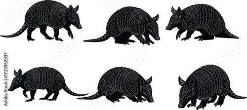 armadillo, wildlife, animal, mammal, silhouette, icon, vector, illustration, black, gray, nature, walking, sniffing, standing, posture, anatomy, exotic, South America, study, design